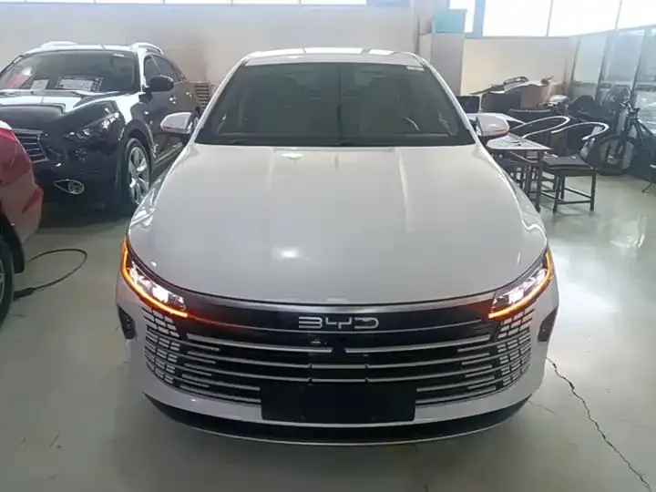 Destroyer 05 2023 Champion Edition DM-i 55km Luxury Model 3