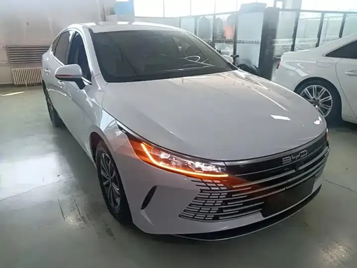 Destroyer 05 2023 Champion Edition DM-i 55km Luxury Model 4