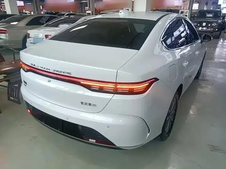 Destroyer 05 2023 Champion Edition DM-i 55km Luxury Model 7