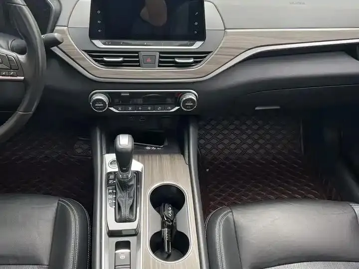 Tianlai 2021 2.0L XL Comfort Edition 9