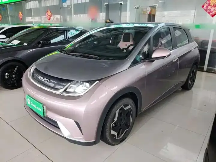 Dolphin 2021, 405 km, Fashion Edition - View 1