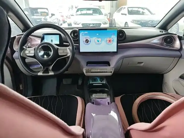 Dolphin 2021, 405 km, Fashion Edition 10