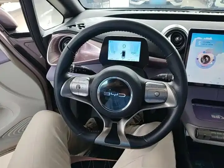 Dolphin 2021, 405 km, Fashion Edition 11