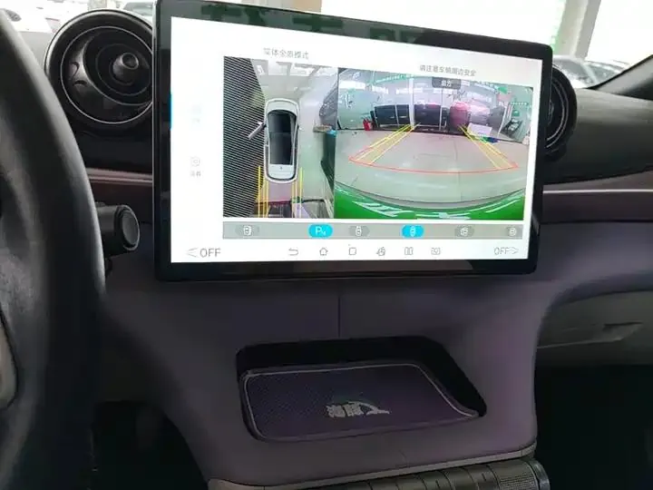 Dolphin 2021, 405 km, Fashion Edition 13