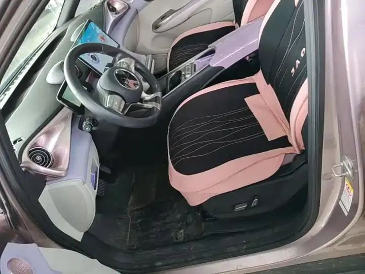 Dolphin 2021, 405 km, Fashion Edition 15