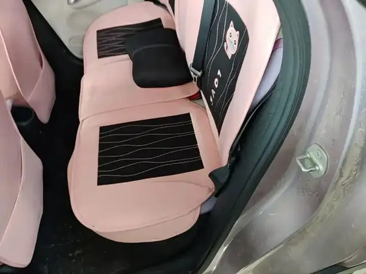 Dolphin 2021, 405 km, Fashion Edition 17