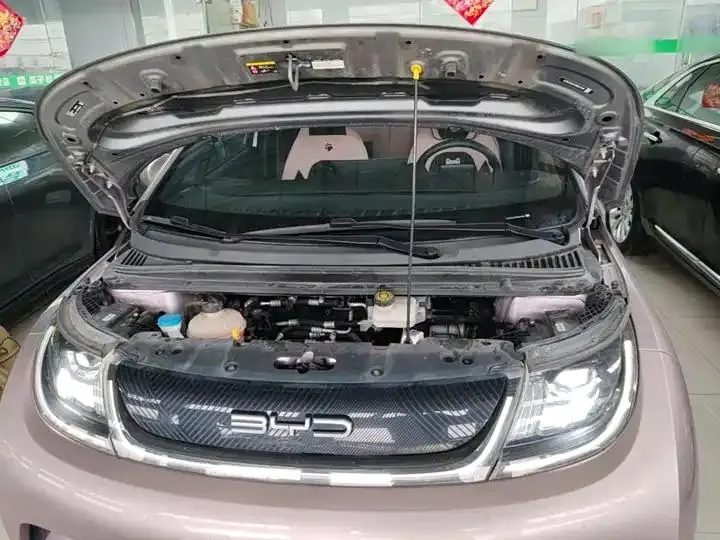 Dolphin 2021, 405 km, Fashion Edition 20