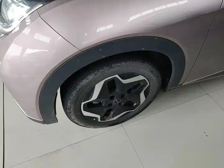 Dolphin 2021, 405 km, Fashion Edition 23