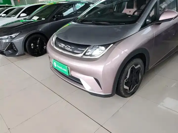 Dolphin 2021, 405 km, Fashion Edition 24