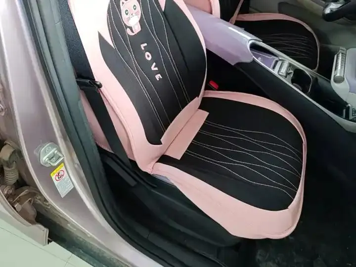 Dolphin 2021, 405 km, Fashion Edition 25