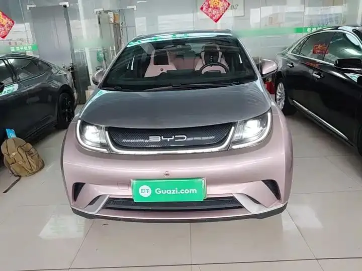 Dolphin 2021, 405 km, Fashion Edition 3