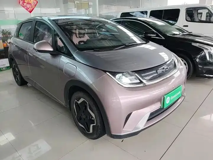 Dolphin 2021, 405 km, Fashion Edition 4