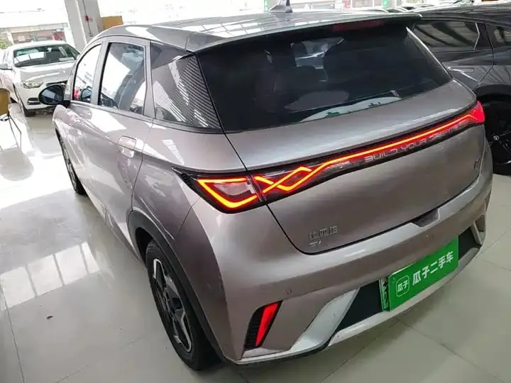 Dolphin 2021, 405 km, Fashion Edition 5