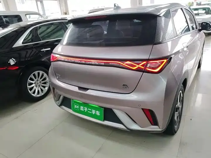 Dolphin 2021, 405 km, Fashion Edition 6