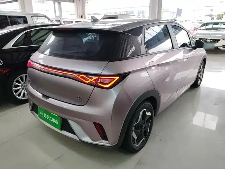 Dolphin 2021, 405 km, Fashion Edition 7