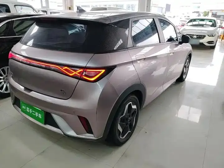 Dolphin 2021, 405 km, Fashion Edition 8
