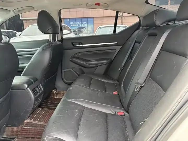 Tianlai 2020 2.0L XL Comfort Version 13