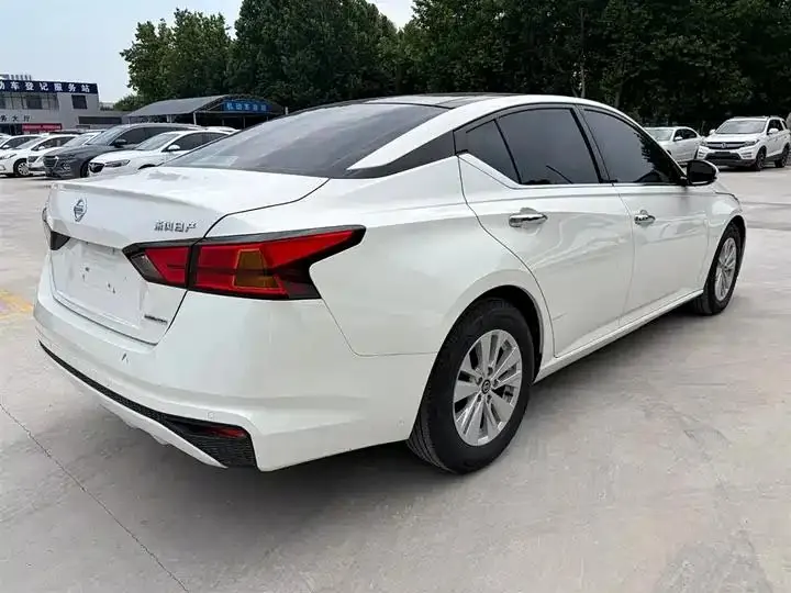 Tianlai 2020 2.0L XL Comfort Version 6