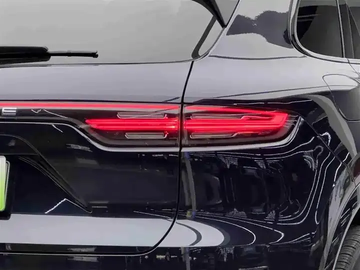 Cayenne New Energy 2021 Cayenne E-Hybrid 2.0T 19