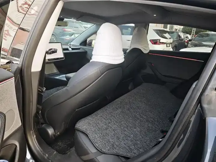 Model 3 2023 rear-wheel drive version 3