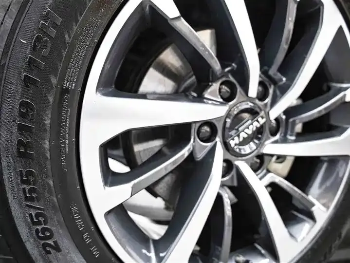 Haval H9 2024 2.4T Diesel Four-wheel Drive Extreme Edition 13