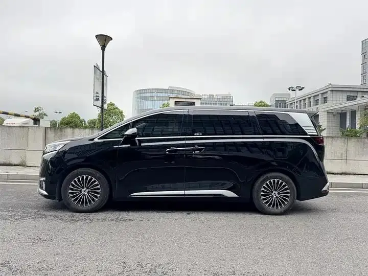 Denza D9 2024 DM-i 980 4-wheel drive distinguished model 3