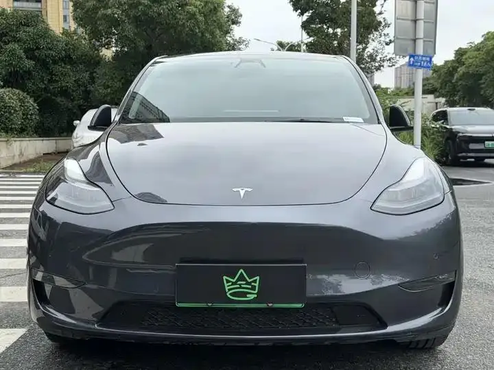 2021 Model Y Long Range All-Wheel Drive Edition 2