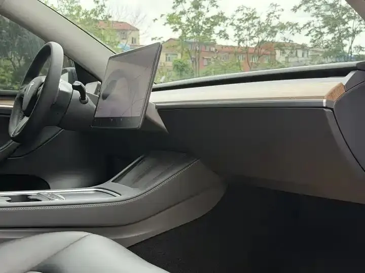 2021 Model Y Long Range All-Wheel Drive Edition 9