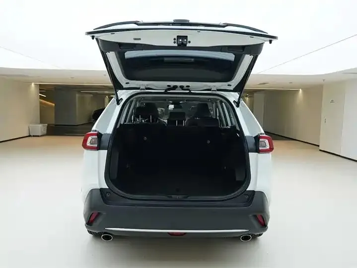 Willanda 2023 2.0L CVT Two-Drive Deluxe PLUS Edition 6