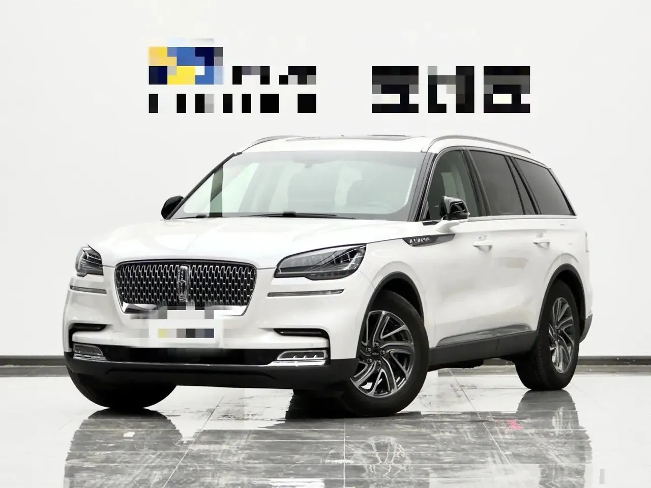 Flying Home 2022 3.0T V 300.00g Drive Zunyue Edition - View 1