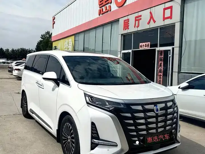 Denza D9 2022 DM-i 970 Four-Wheel-Drive Prestige Model 3