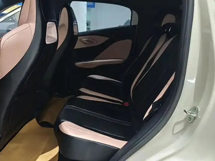 Seagull 2024 Glory Edition 305km Vital Edition 11