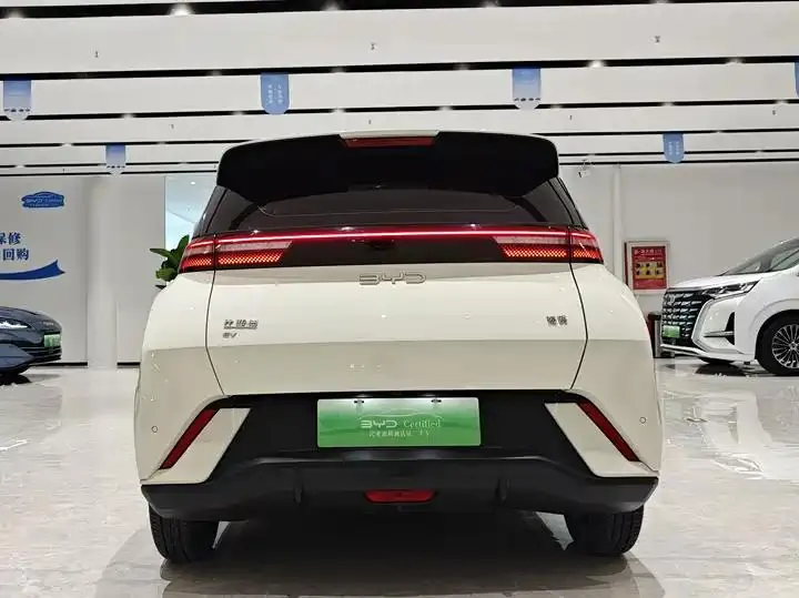 Seagull 2024 Glory Edition 305km Vital Edition 14