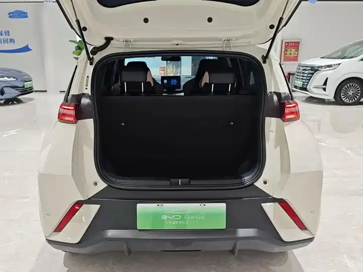 Seagull 2024 Glory Edition 305km Vital Edition 15