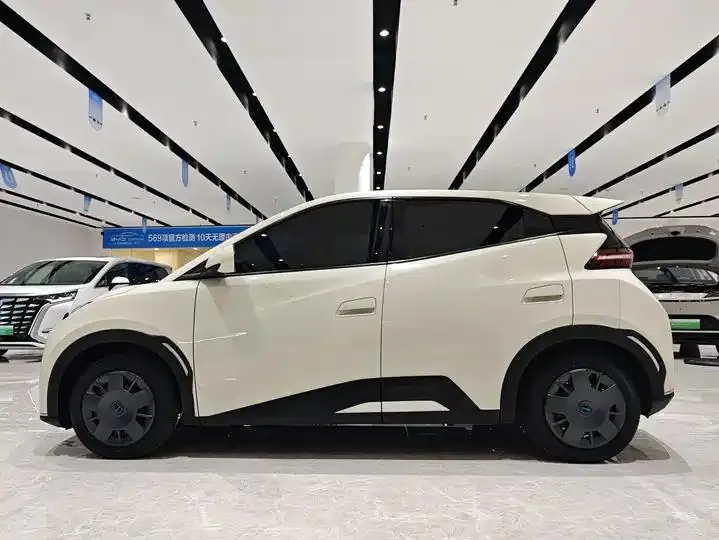 Seagull 2024 Glory Edition 305km Vital Edition 3