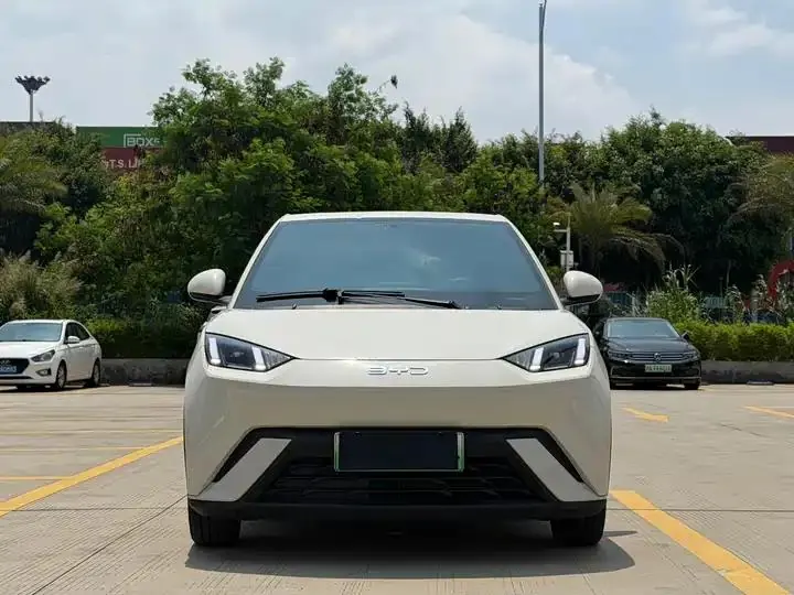 Seagull 2025 305km Free Edition 2
