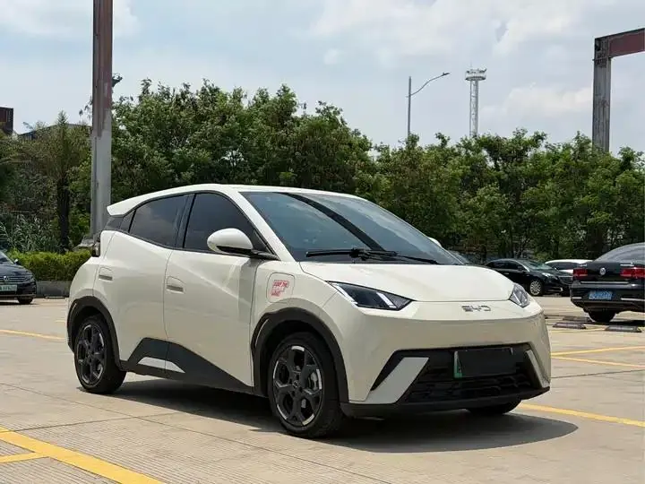 Seagull 2025 305km Free Edition 3