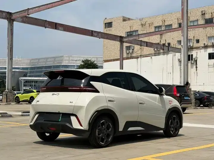 Seagull 2025 305km Free Edition 4