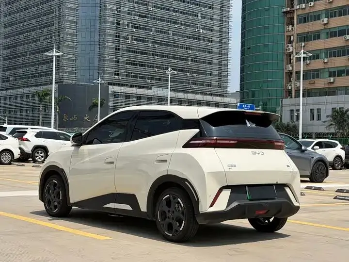 Seagull 2025 305km Free Edition 6