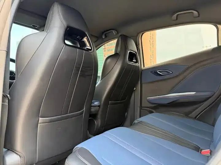Seagull 2025 305km Free Edition 9