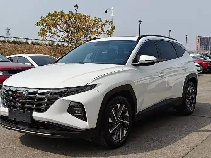 Tousheng 2021 Tousheng L 1.5T DCT GLX Elite Edition 16