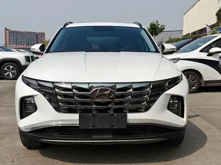 Tousheng 2021 Tousheng L 1.5T DCT GLX Elite Edition 17