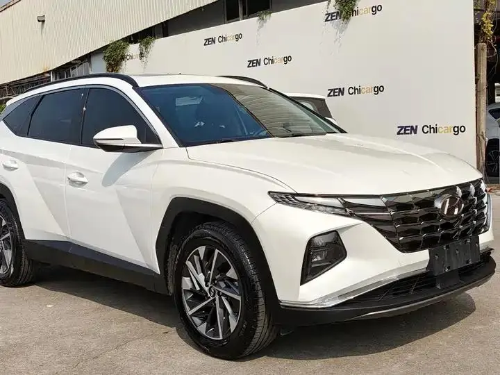 Tousheng 2021 Tousheng L 1.5T DCT GLX Elite Edition 18