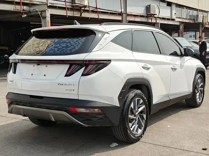 Tousheng 2021 Tousheng L 1.5T DCT GLX Elite Edition 19