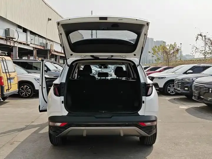 Tousheng 2021 Tousheng L 1.5T DCT GLX Elite Edition 20