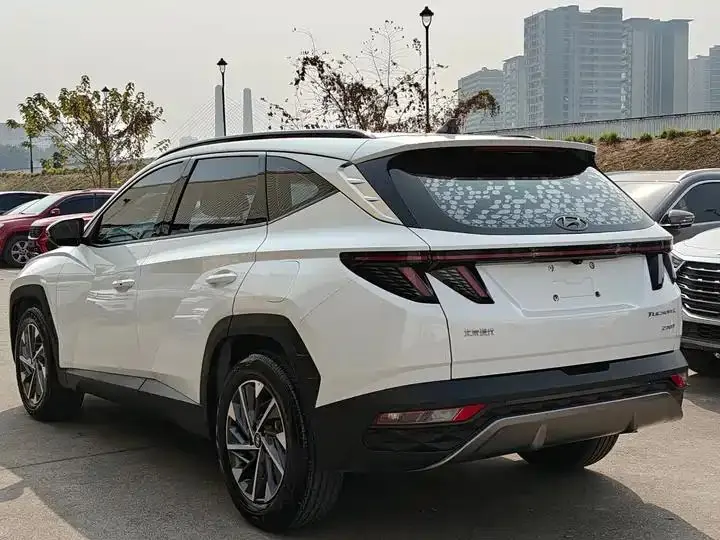 Tousheng 2021 Tousheng L 1.5T DCT GLX Elite Edition 21