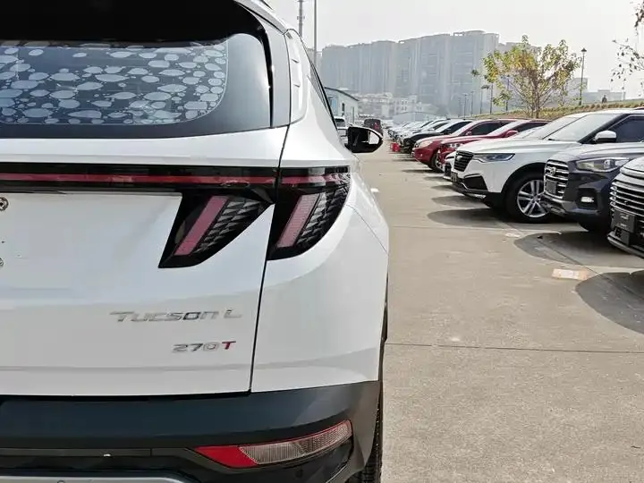 Tousheng 2021 Tousheng L 1.5T DCT GLX Elite Edition 23
