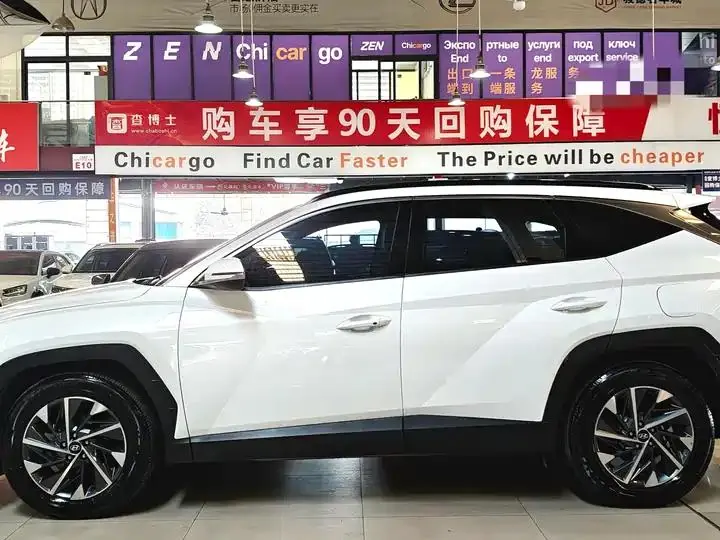 Tousheng 2021 Tousheng L 1.5T DCT GLX Elite Edition 3