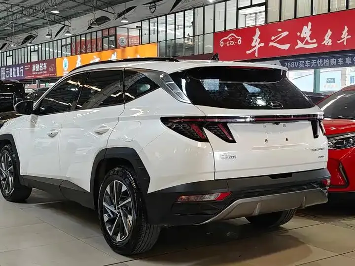 Tousheng 2021 Tousheng L 1.5T DCT GLX Elite Edition 4