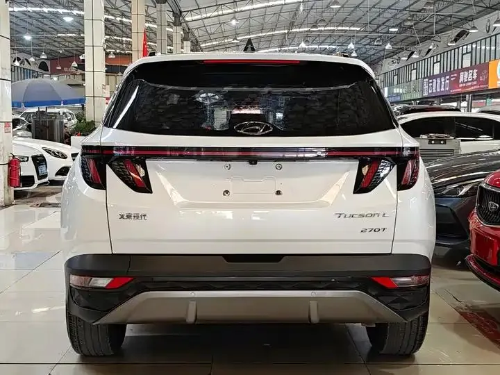 Tousheng 2021 Tousheng L 1.5T DCT GLX Elite Edition 5